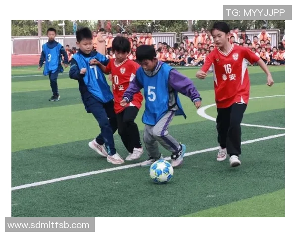 足球明星各展风采解析他们擅长的球技与战术特点