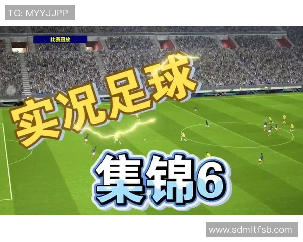 足球明星的荣耀与梦想在绿茵场上的拼搏与坚持