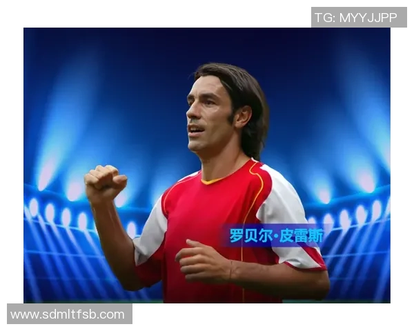 足球明星罗贝尔的职业生涯与成就全解析